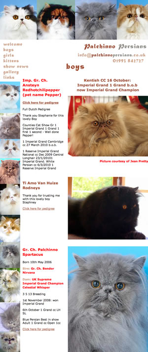 Xlixk for the Palchinno Persians website